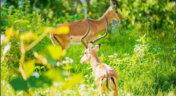 Screenshot 2025-10-02 100059