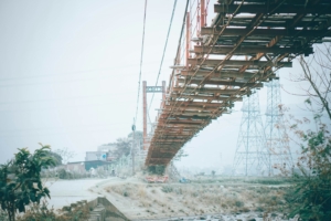a large bridge over a river next to a forest